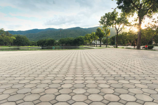 Best Driveway Pavers Near Me  in Coronita, CA